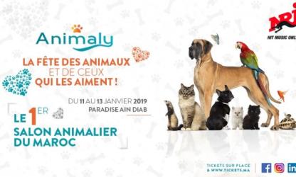 "Animaly", le premier salon de l’animal de compagnie débarque à Casablanca !