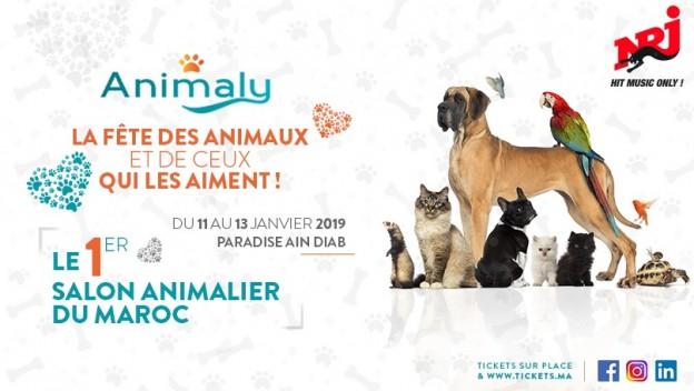 "Animaly", le premier salon de l’animal de compagnie débarque à Casablanca !